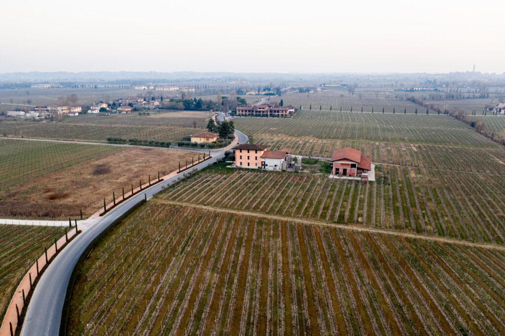 identificar el tipo de suelo de tu parcela
